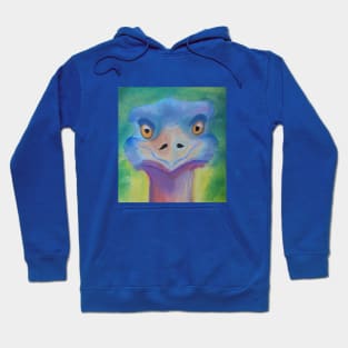 Brainy rainbow bright ostrich Hoodie